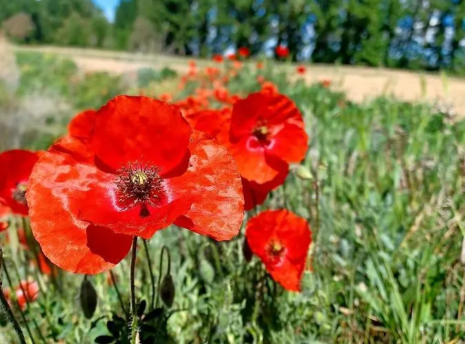 San Juan Vakantiehuis